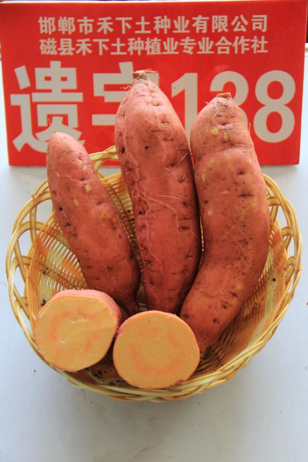 禾下土脫毒遺字138單塊