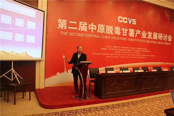 “甘薯栽培機(jī)械化進(jìn)展”專題報(bào)告