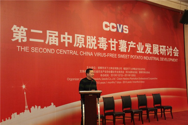 “都市農(nóng)業(yè)中甘薯發(fā)展趨勢”專題報告