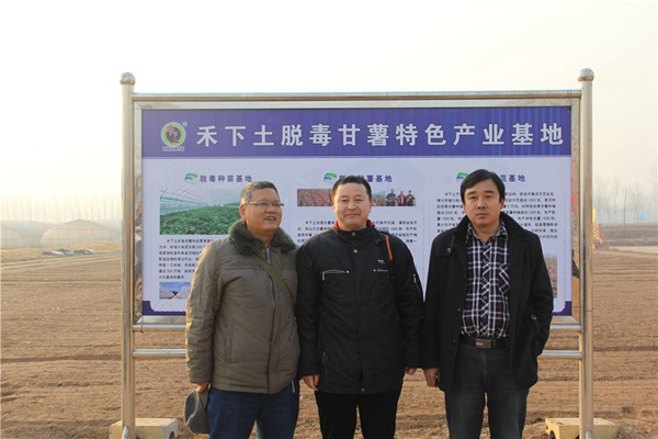 趙波教授參觀禾下土200畝脫毒種苗基地