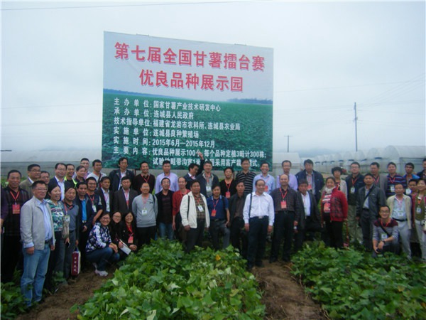 連城地瓜產(chǎn)業(yè)發(fā)展大會(huì)