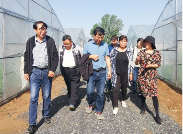 1648166773193830.jpg 2020.3.25.9.JPG