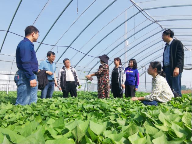 1648167071166111.jpg 2020.3.25.11.JPG