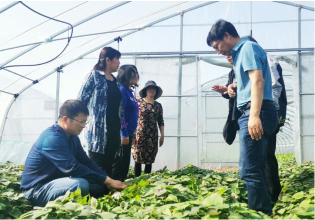 1648167083666138.jpg 2020.3.25.13.JPG