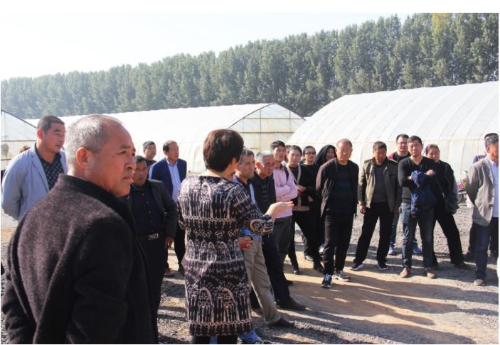 1648173442144498.jpg 2020.3.25.99.JPG