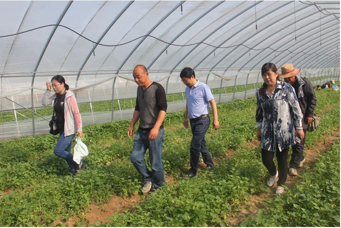 1648174755658835.jpg 2020.3.25.128.JPG