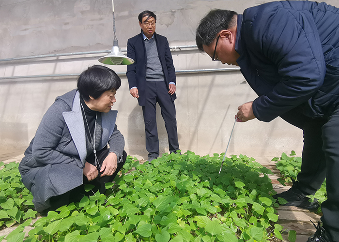 1648436110136007.jpg 圖一.jpg