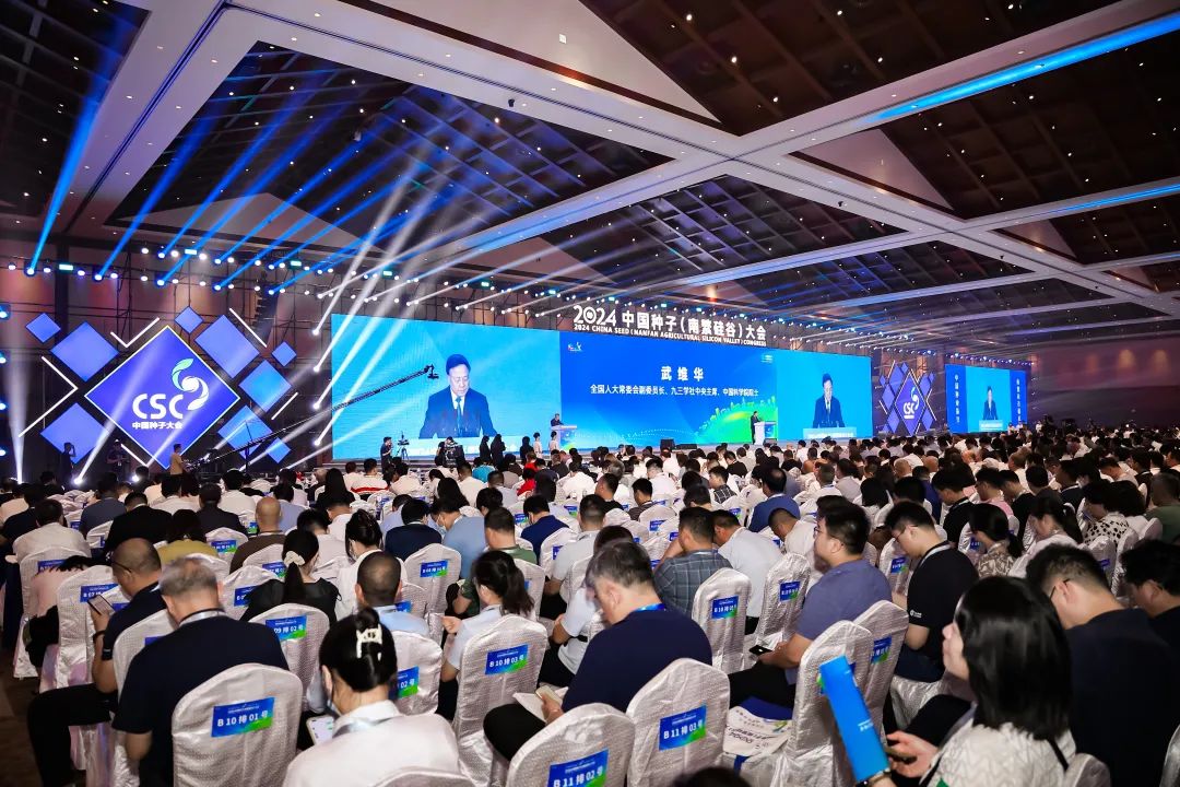 1710905899554329.jpg 640 (1).jpg