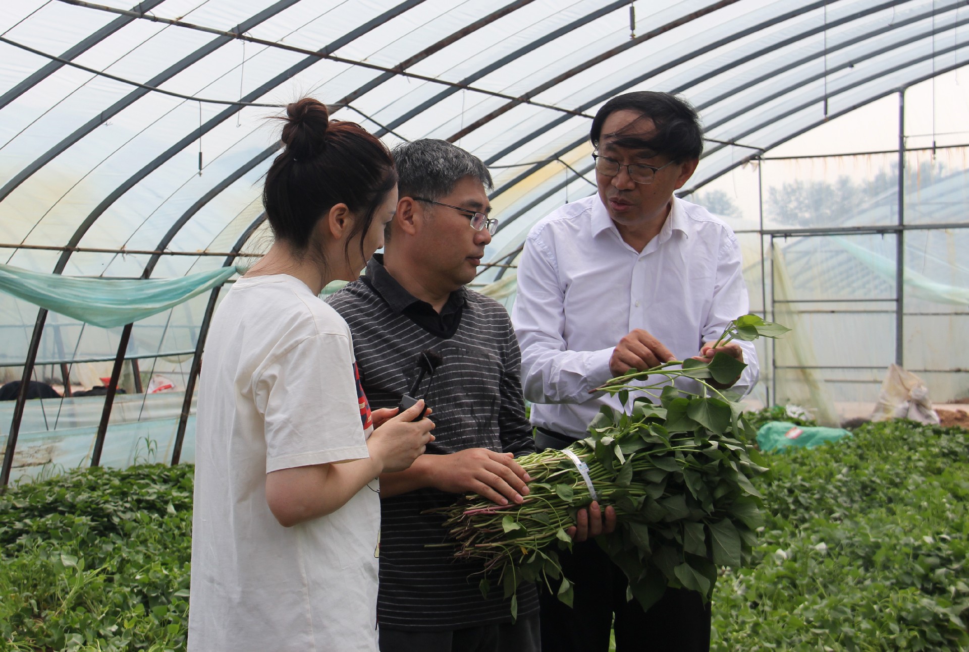 1713349927172749.jpg 24ca035578e21bd71c33ce4e8bc968c.jpg