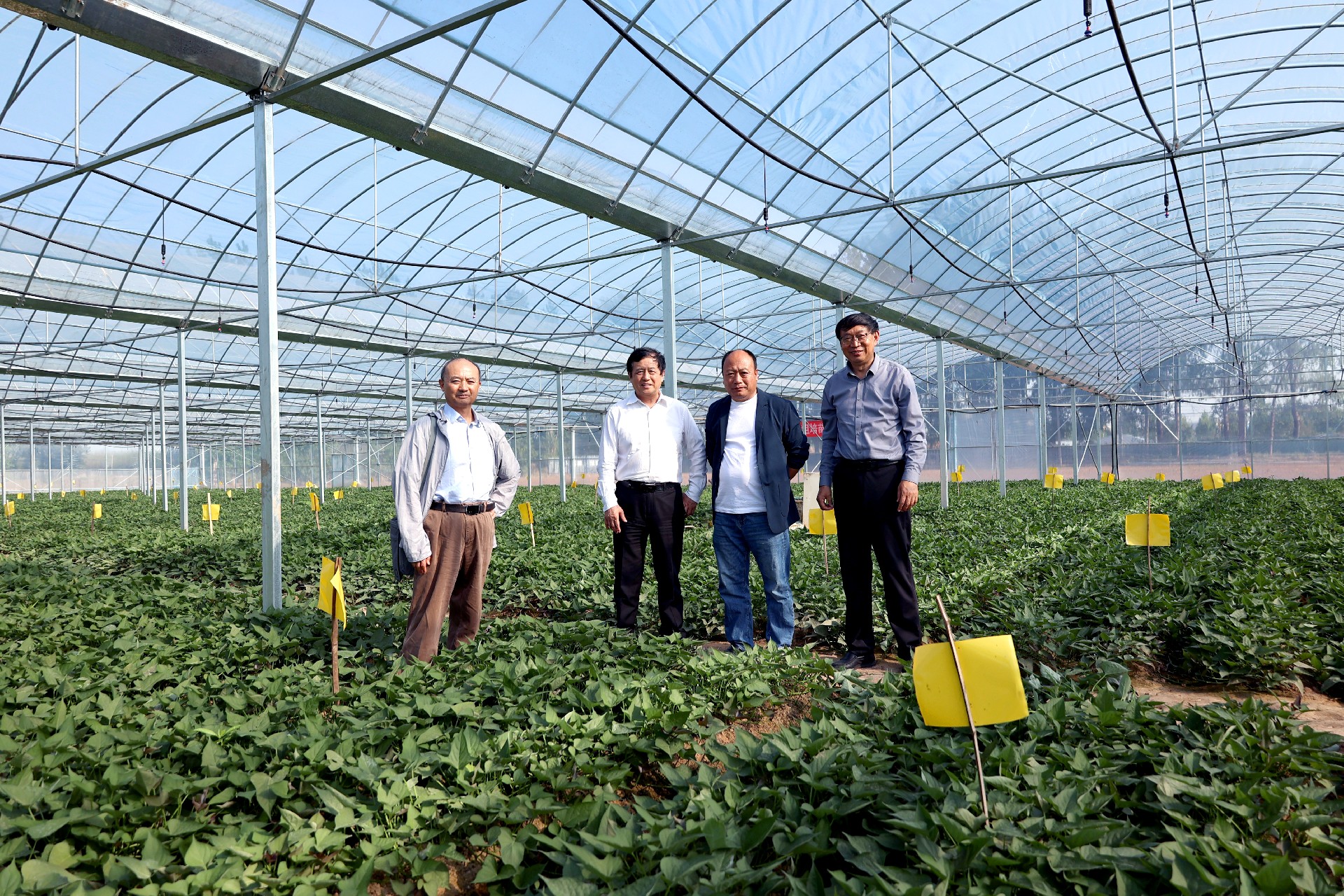 1714988486127136.jpg dbd4880308fb0e4a0c2c808ef3197c5.jpg