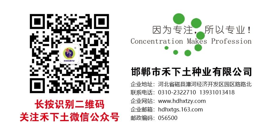 1740390713812477.jpg 微信圖片_20241120162934.jpg