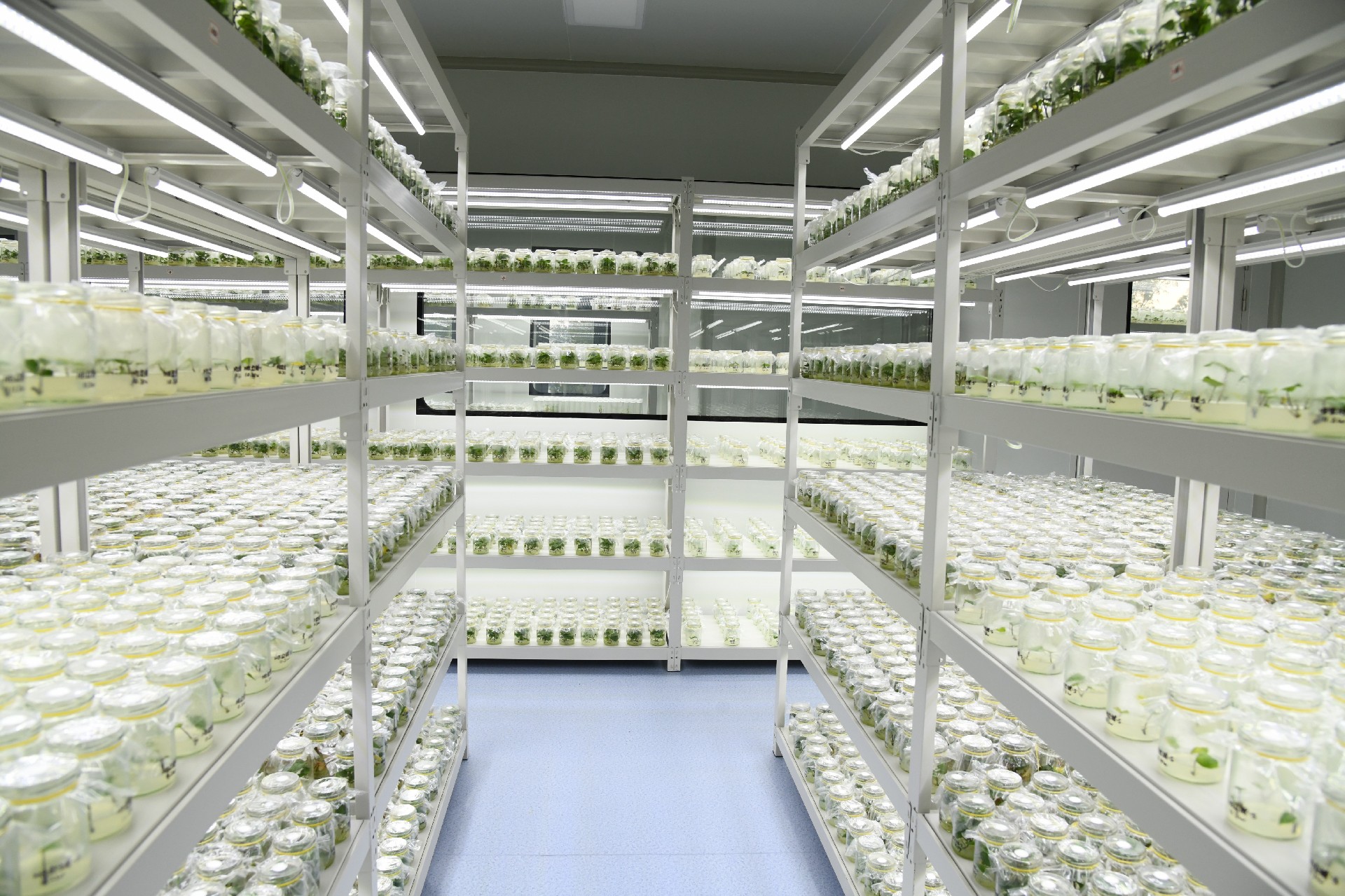 1740442490126903.jpg DSC_2134(1).jpg