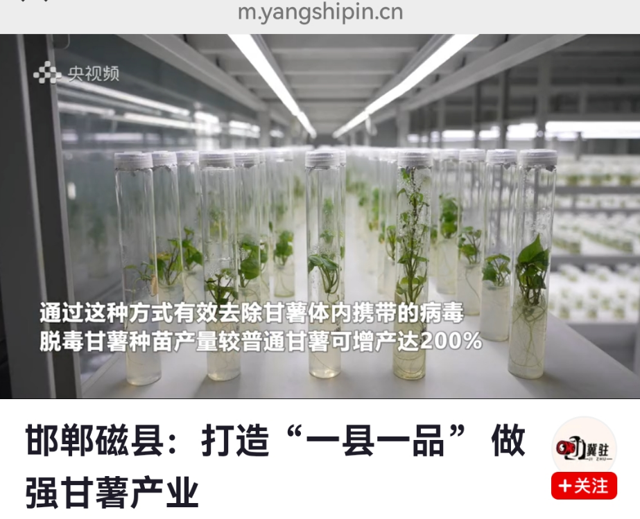 1742612989122797.png QQ瀏覽器截圖20250322110311.png