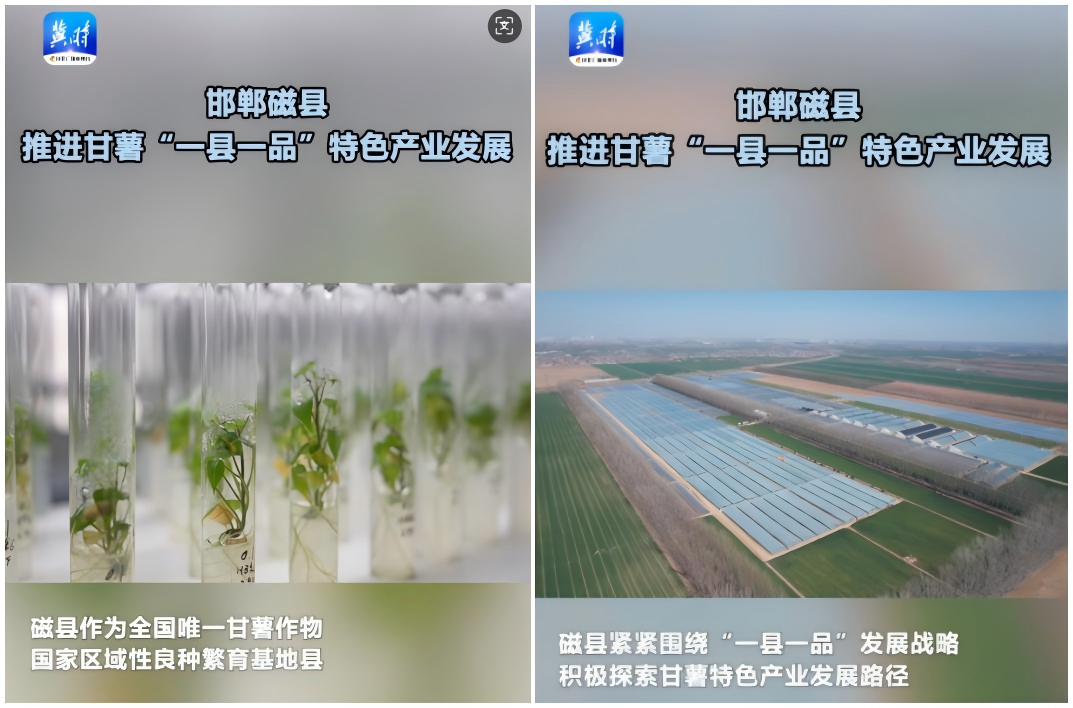 1742614765184660.png WPS拼圖0.png