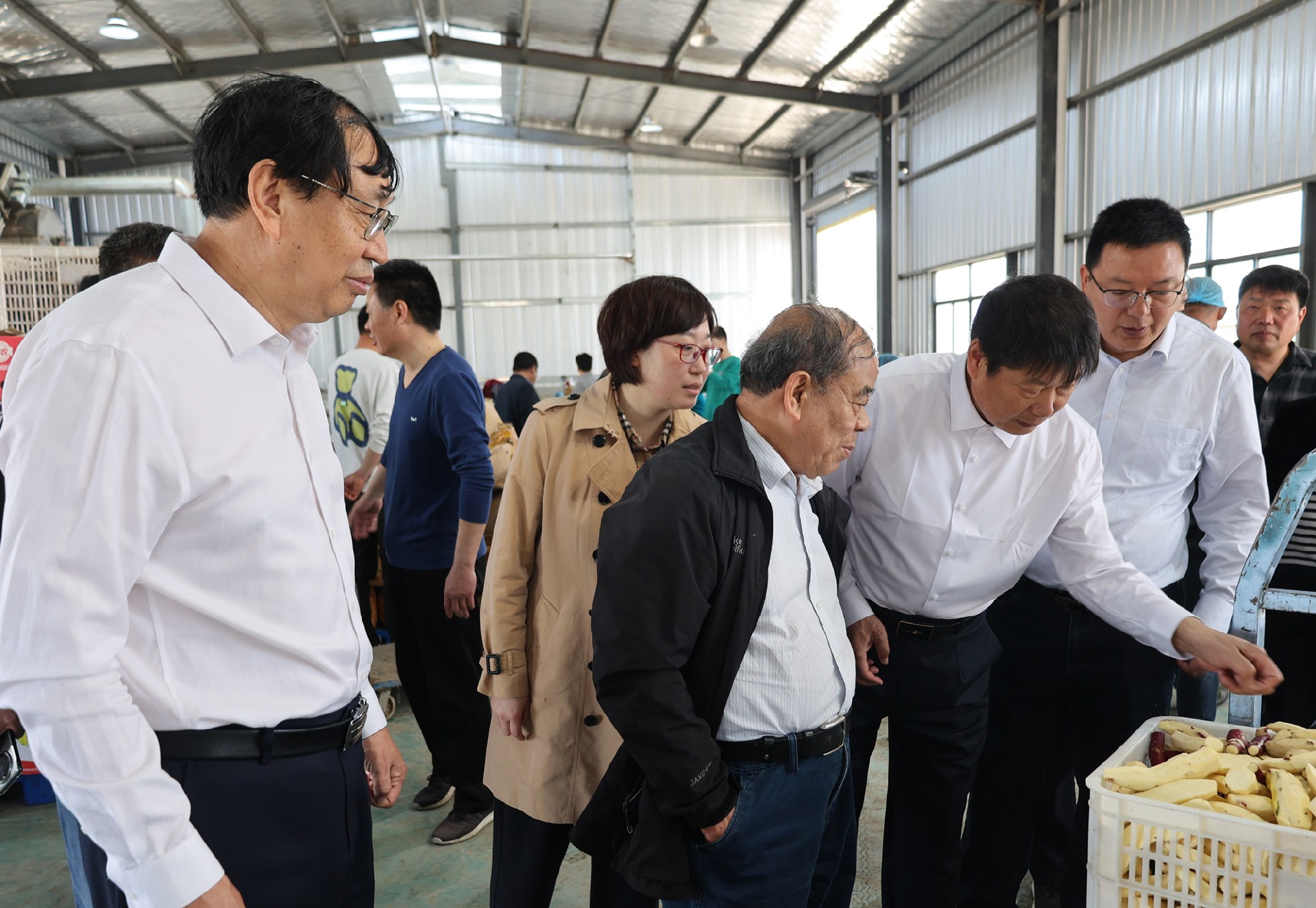 1743001490179015.jpg 5T8A0813.JPG