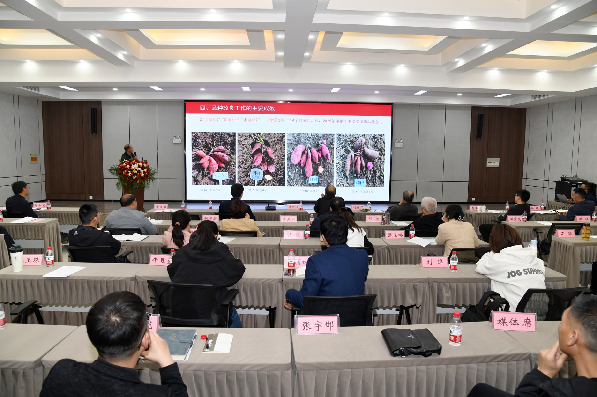 1744445672137527.jpg DSC_9472.JPG