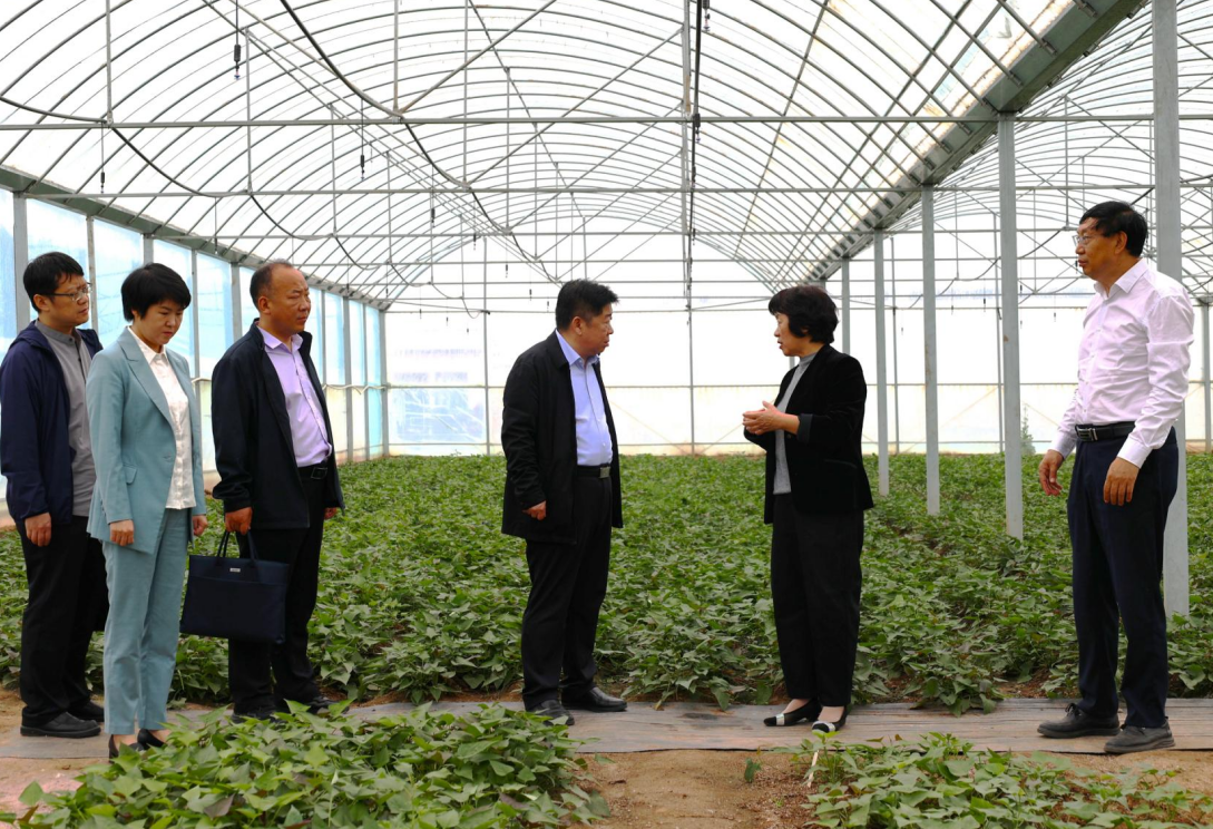 1746752221160328.png QQ瀏覽器截圖20250509085017.png