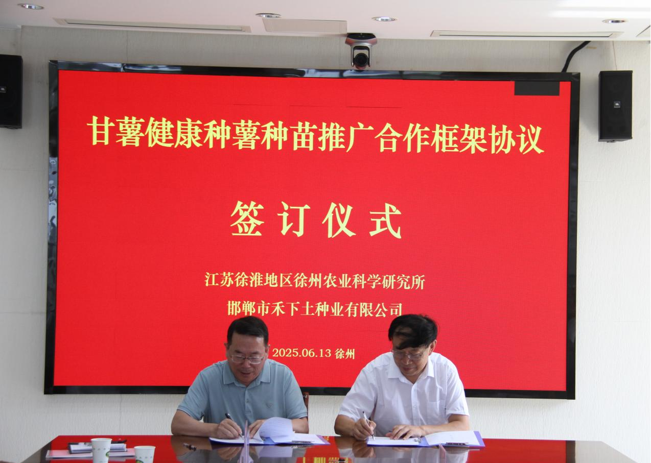 1750123128154487.png 圖片2.png