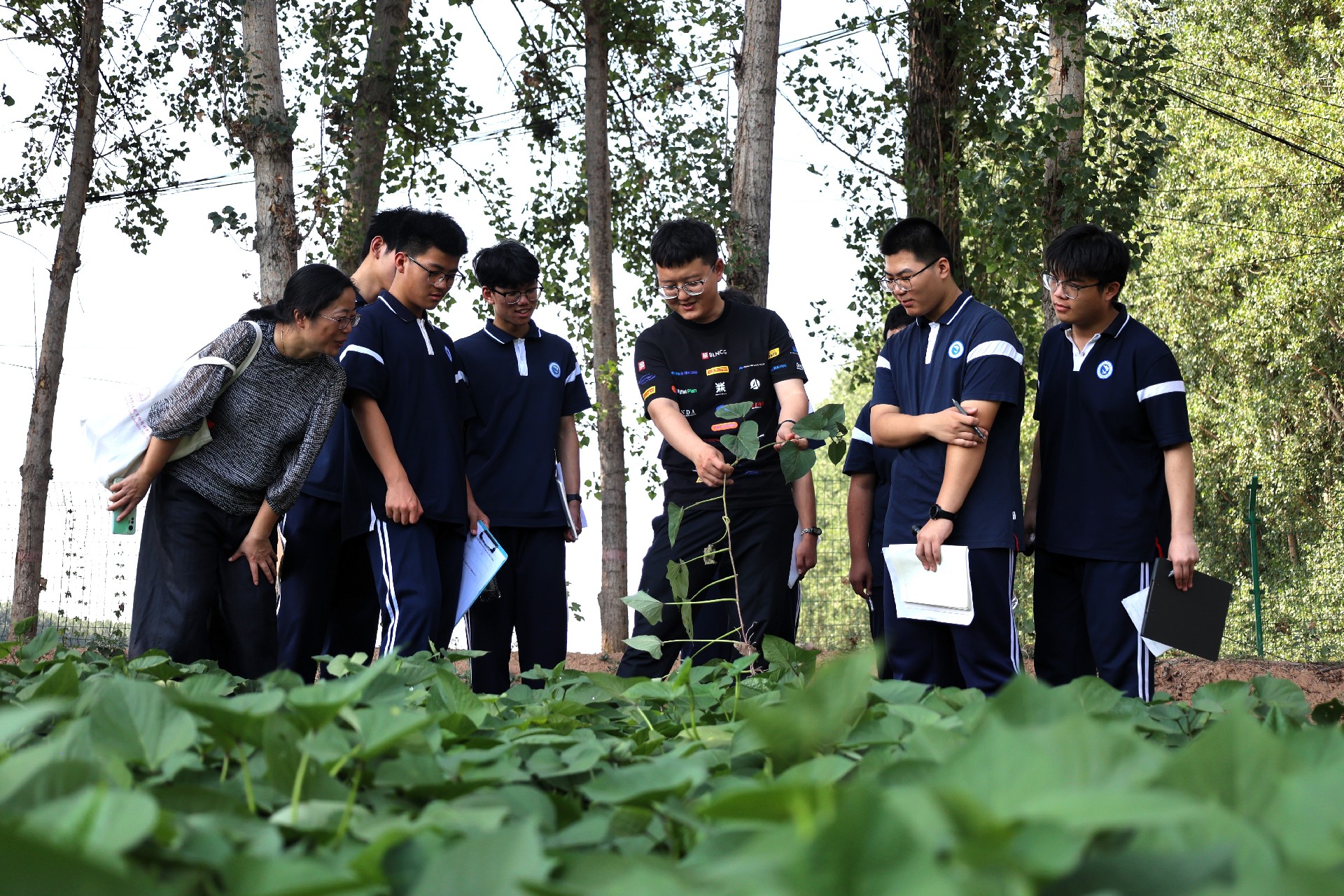 1751849715162527.jpg 微信圖片_20250707084934.jpg