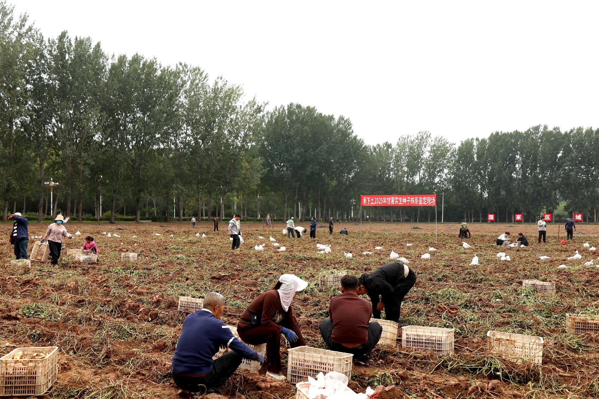 1761180949212916.jpg 微信圖片_20251017105213_144_53.jpg